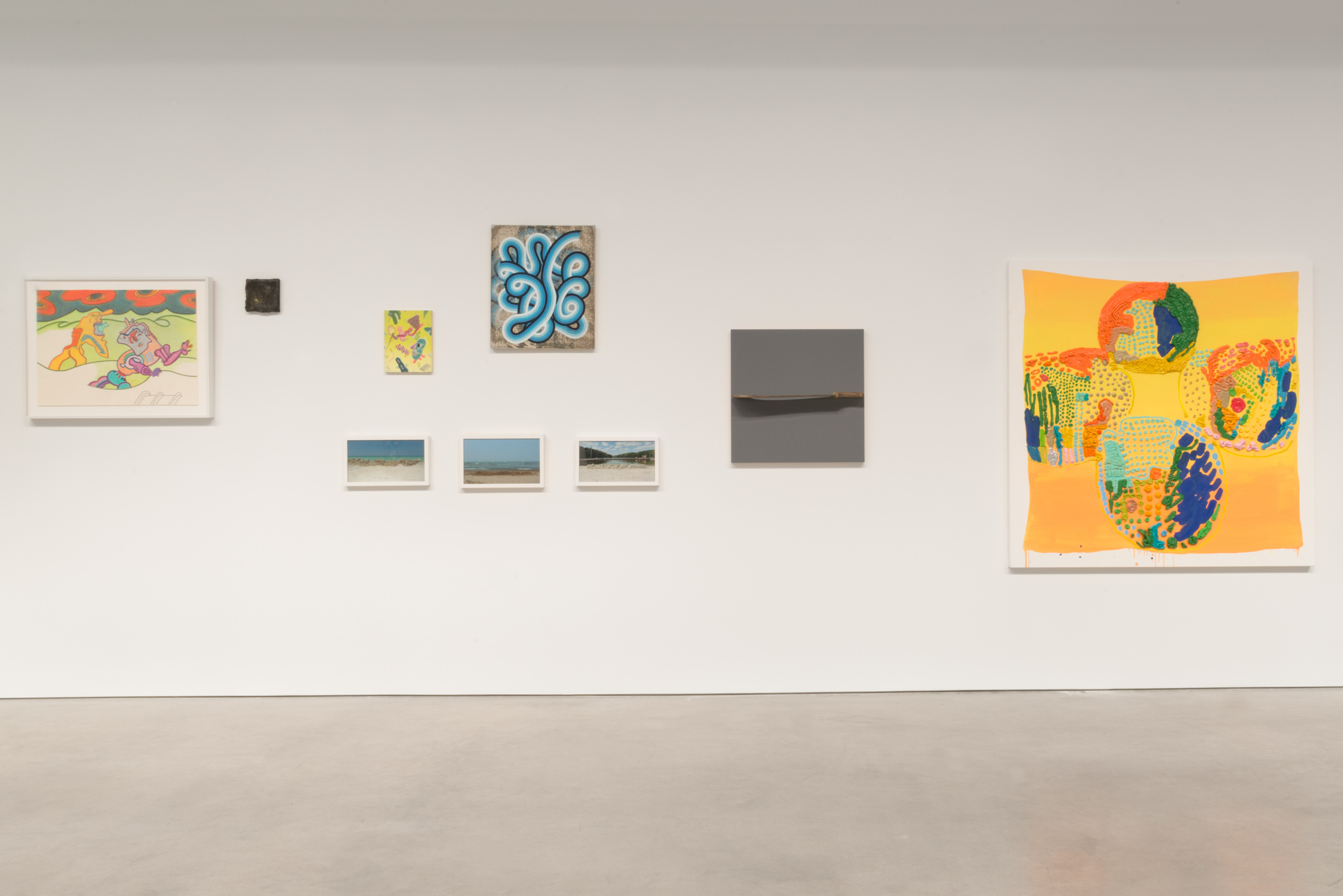 Shane Campbell Gallery "Chicago and Vicinity" installation view