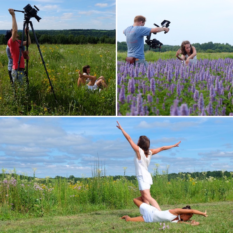 videographers & dancers in fields of flowers