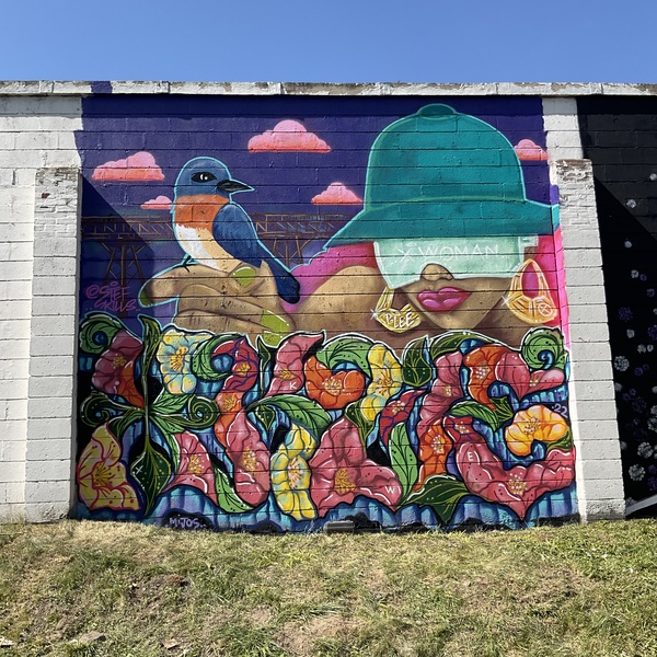  Graffiti painted on wall shows woman with green hat and pink hair holding blue bird. Flowers fill the bottom of image. 