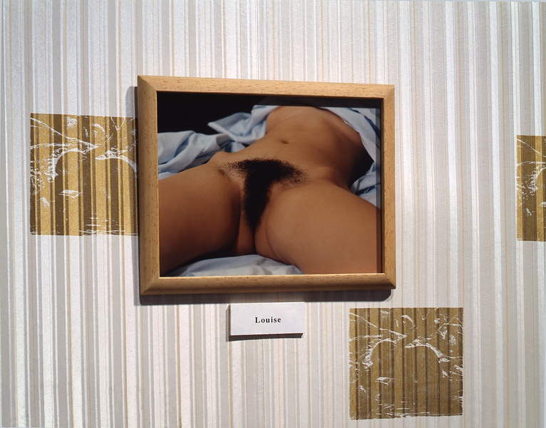 framed color photograph of “Louise,” of a woman’s body posed in the manner of Courbet’s famous painting. The photograph is hung on silkscreened wallpaper with a repeating pattern of a golden beaver.