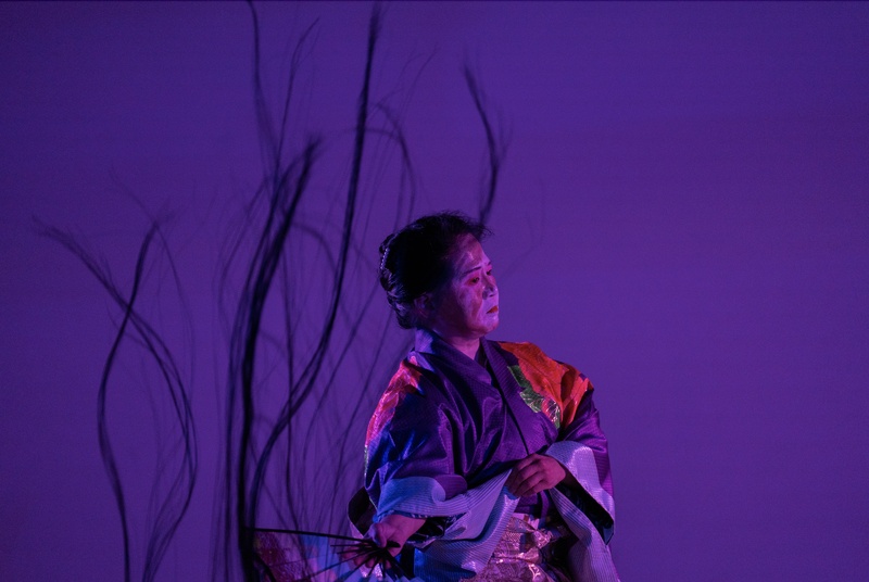  An Asian American woman dressed in traditional Japanese kimono under a purple light with strands of hair projected behind her. 