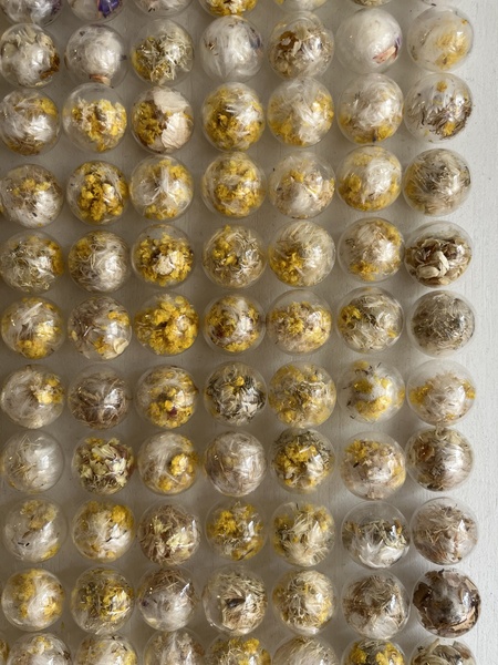 Brandin Hurley artwork