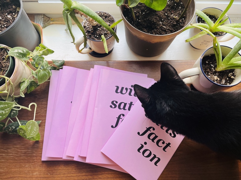  An overhead image of a curious black kitten sniffing at pink zines that read "Wild Satisfaction" set upon a table with small aloe plants nearby 