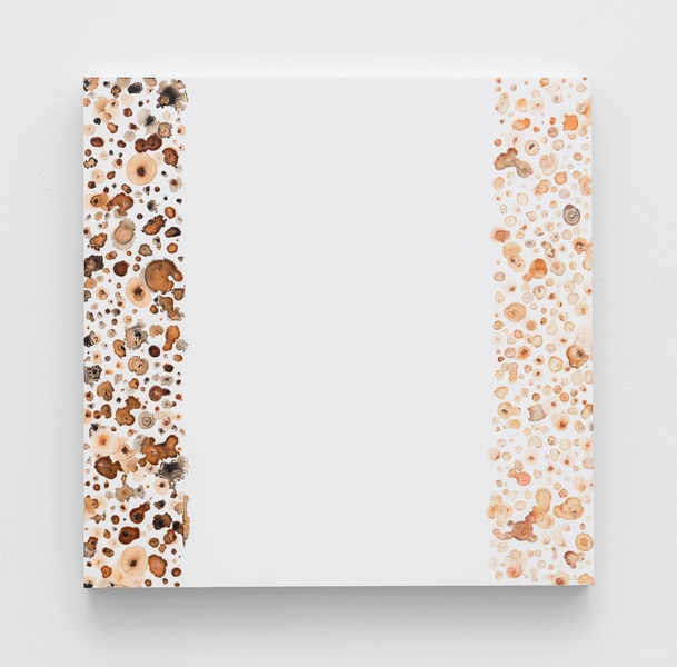  12" square painting on white clay board with cell like paint droplets in groups of brown and pale colors to denote skin tones. Cell like groupings of straight lines meet the edge of the board and are separated by blank space of about 6 inches. 