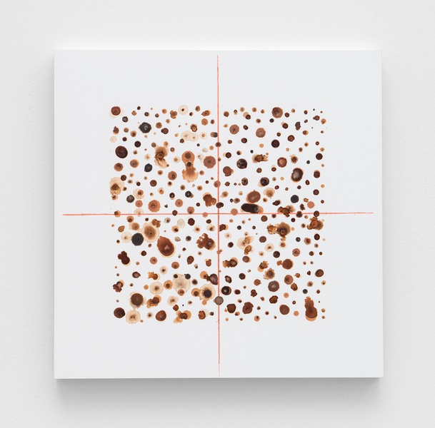  12" square clay board with 10" square of brown cell like structures. A red vertical and horizontal line, like a target, is centered on the 12" square. 