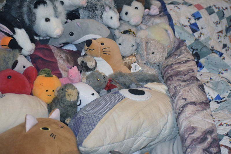  A photo of a tucked fish stuffed animal under a white and blue quilt, surrounded by other various stuffed animals. 