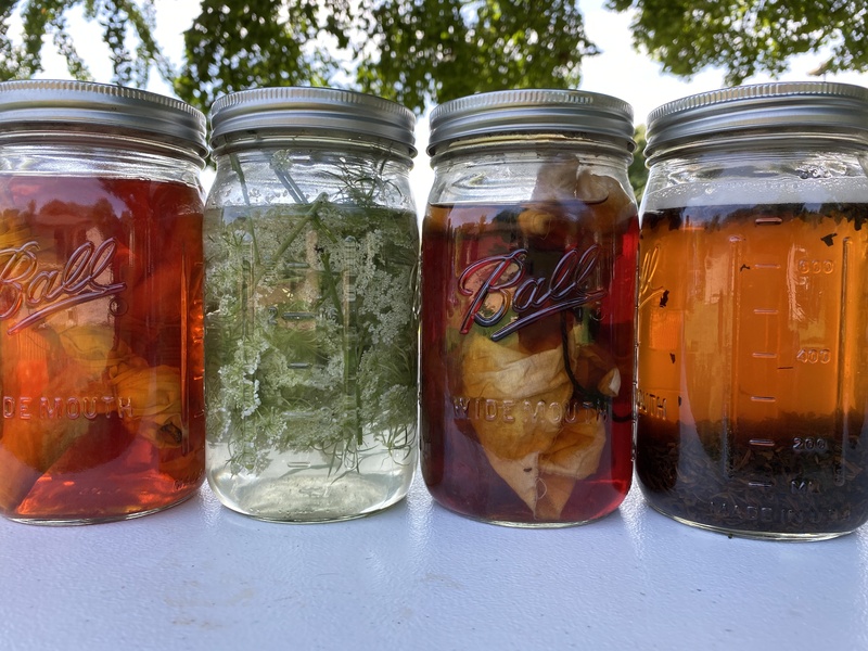  A closeup of four mason jars filled with varying colorful substances, softly backlit by the outdoor sun. 