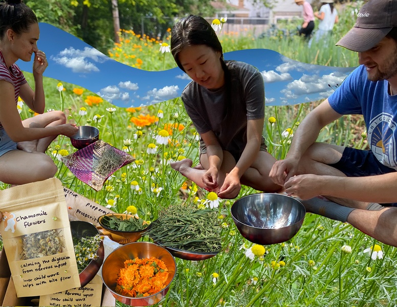  Collage of images forming a grassy background with three figures seated together picking flowers 