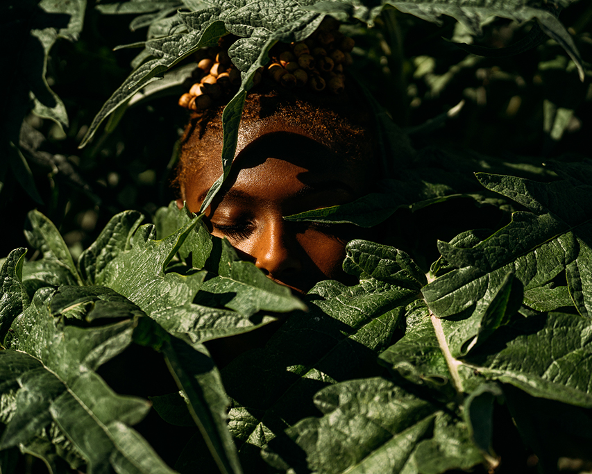 Image of a brown face emerging from leafy, green foliage.
